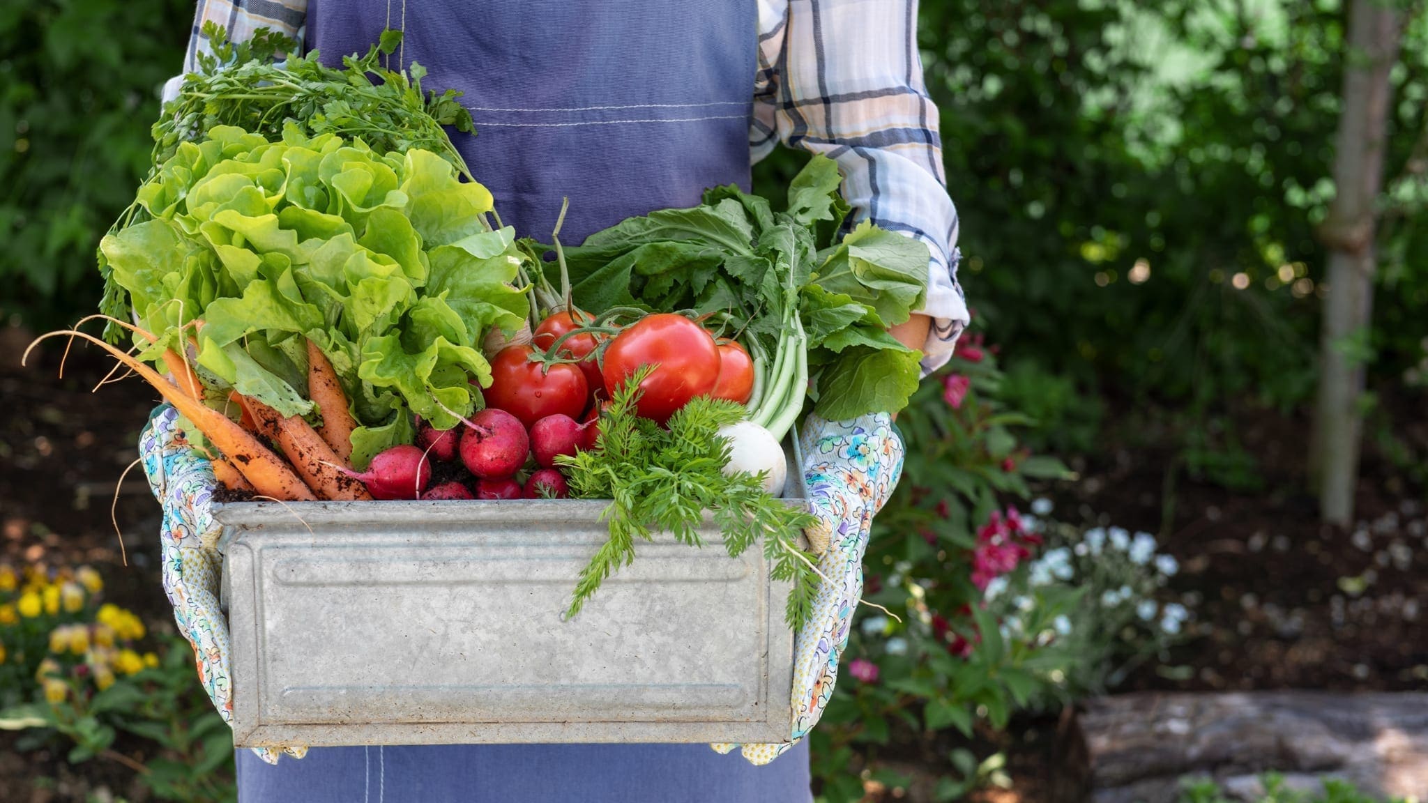 New Roots basket vegetables