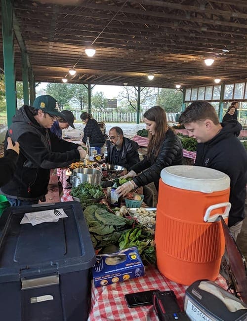new roots volunteer