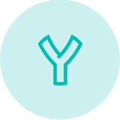 Y Logo Teal